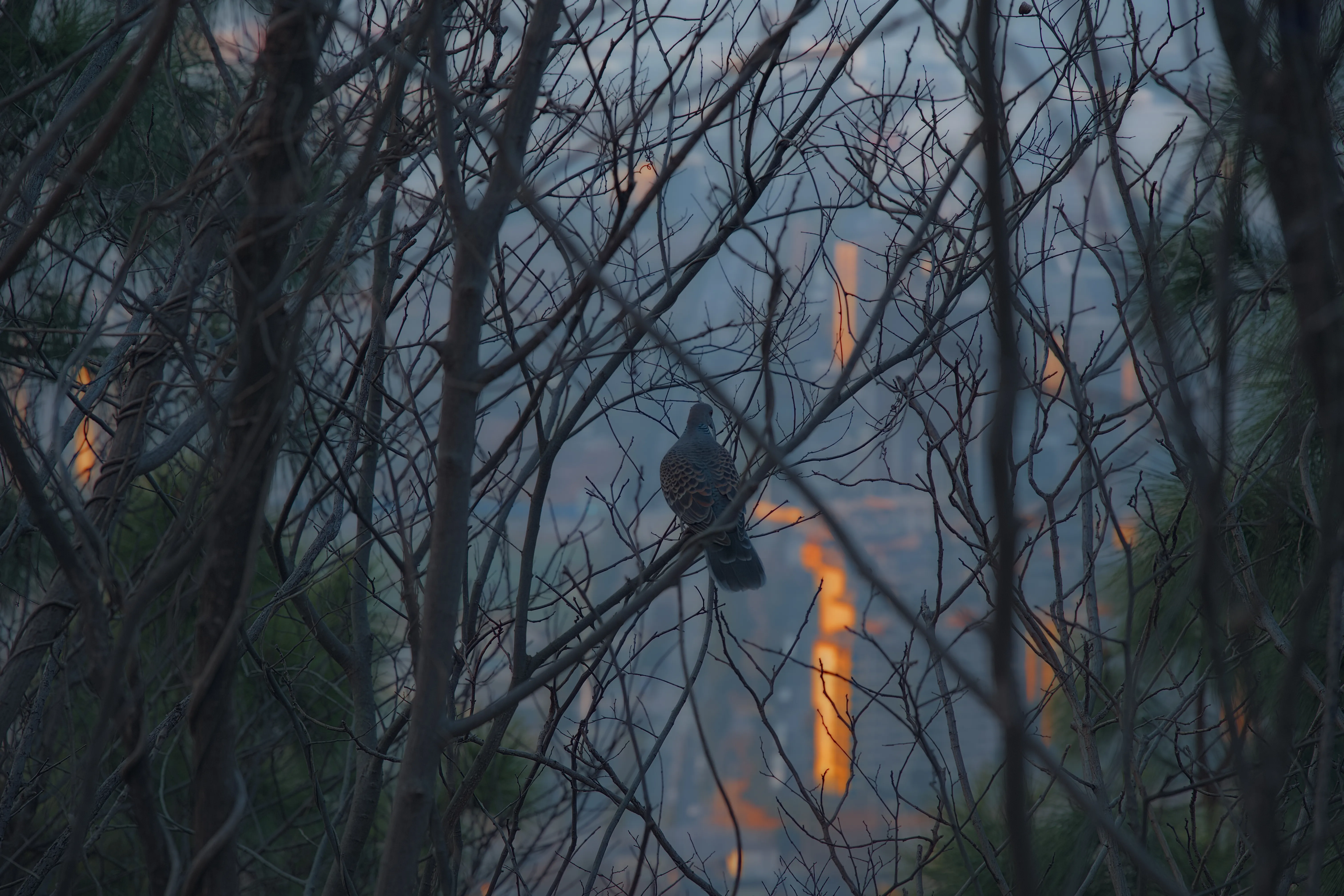 2025 Year-End Reflection